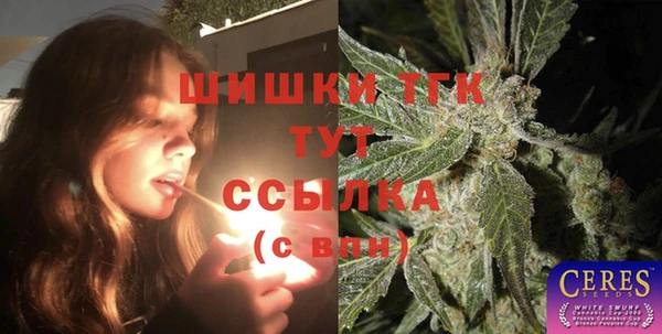 крисы Армянск