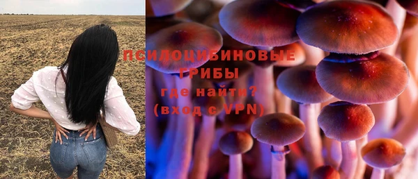 первитин Пересвет