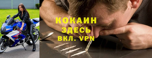 крисы Армянск